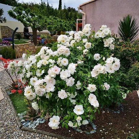 بيت ضيافة Studio 53 M2 Avec Piscine